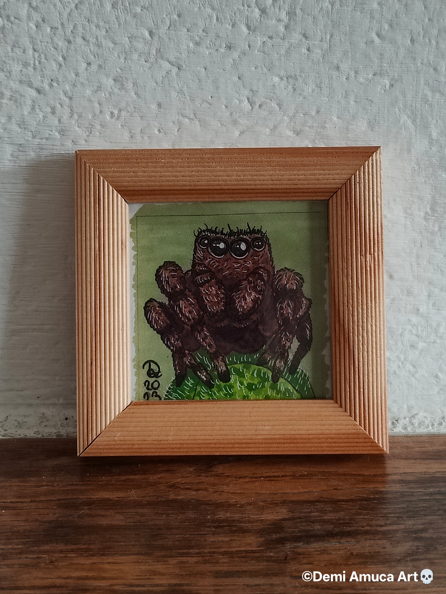 Framed Art Print: Brown Jumping Spider