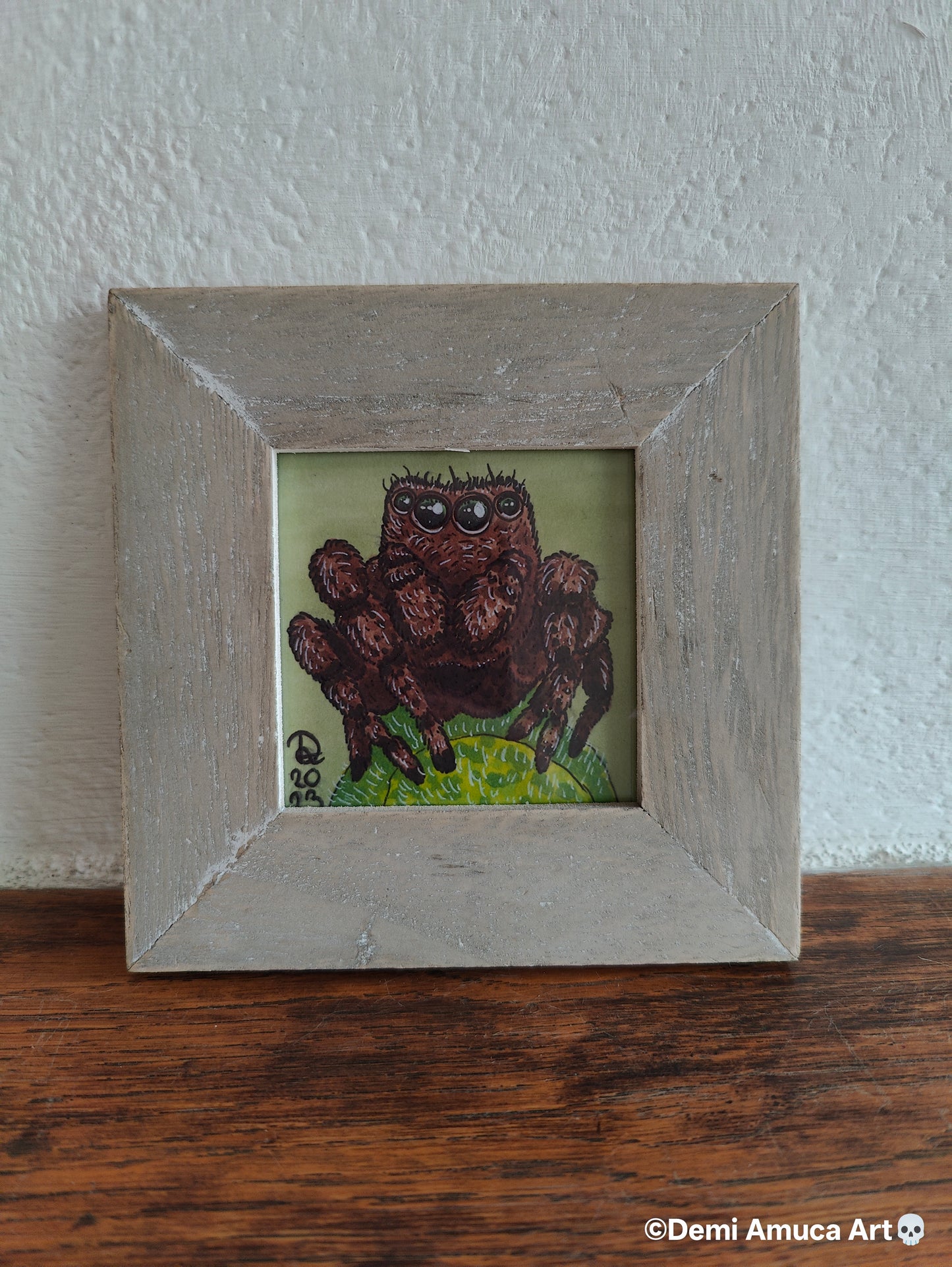 Framed Art Print: Brown Jumping Spider