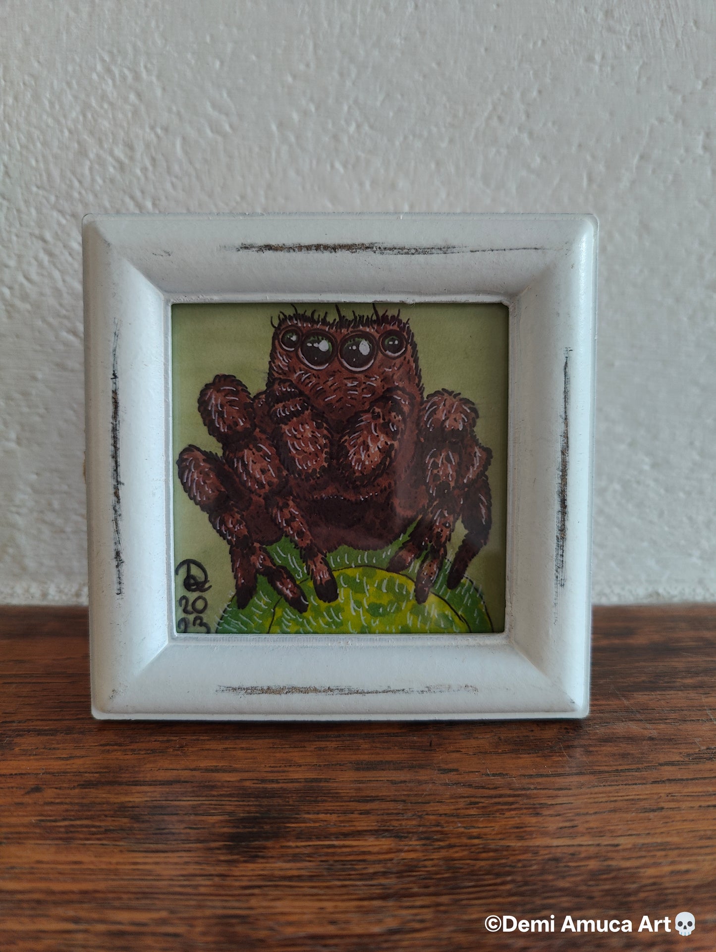 Framed Art Print: Brown Jumping Spider
