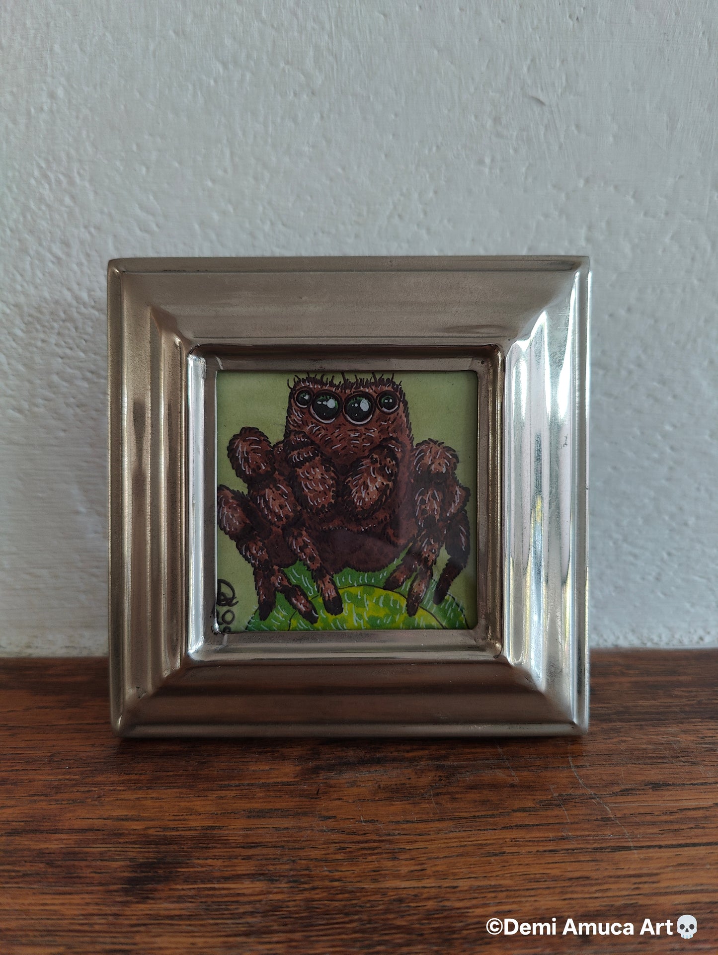 Framed Art Print: Brown Jumping Spider