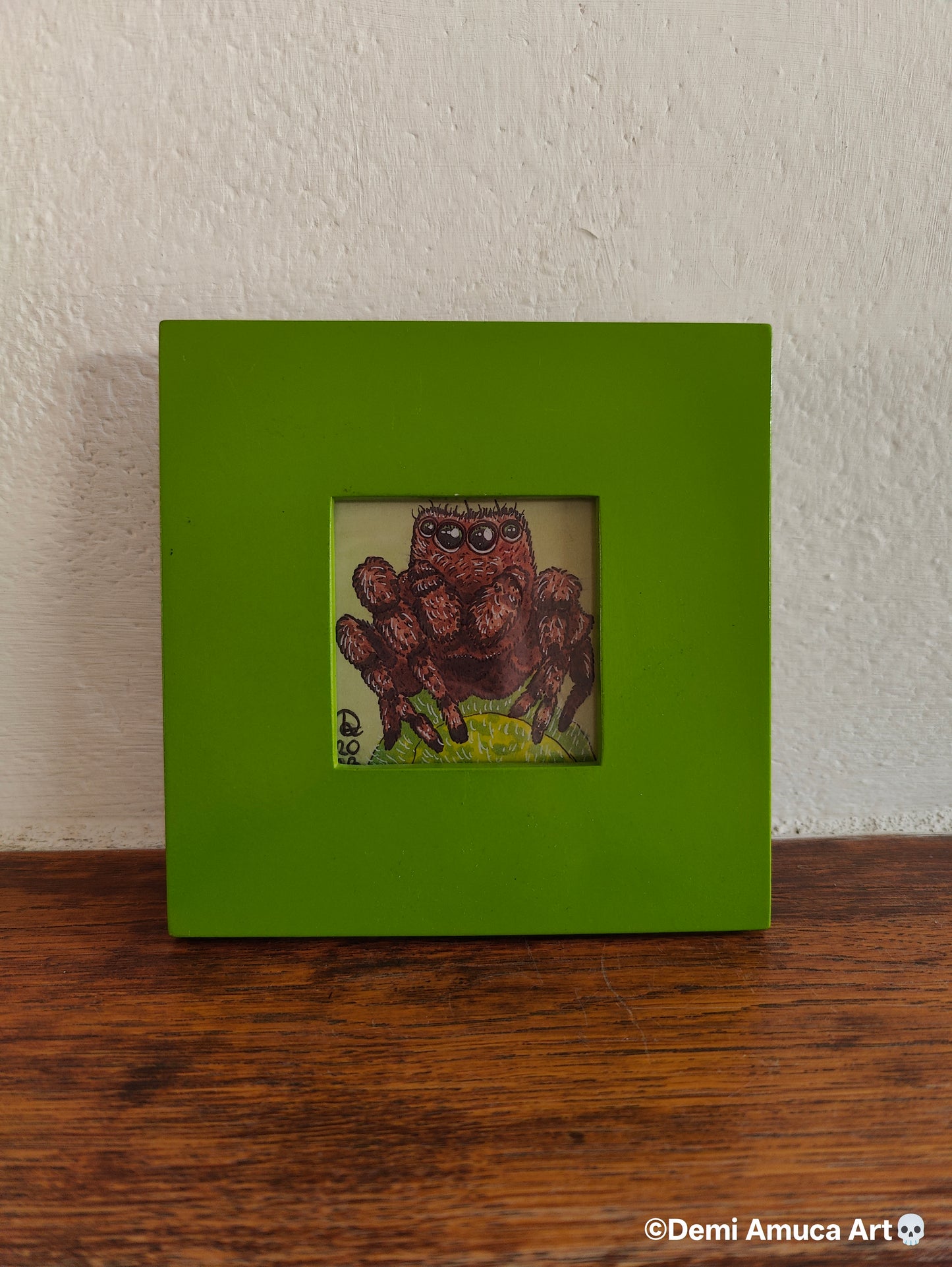 Framed Art Print: Brown Jumping Spider