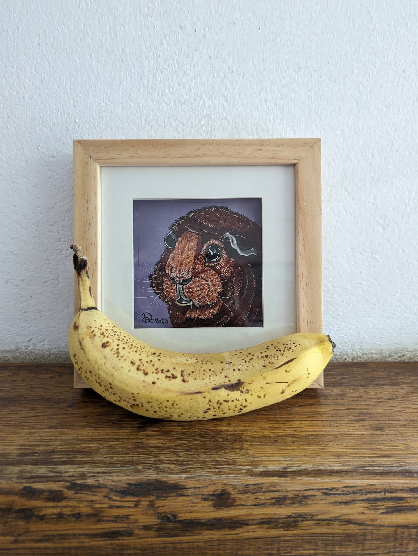 Framed Original Guineapig