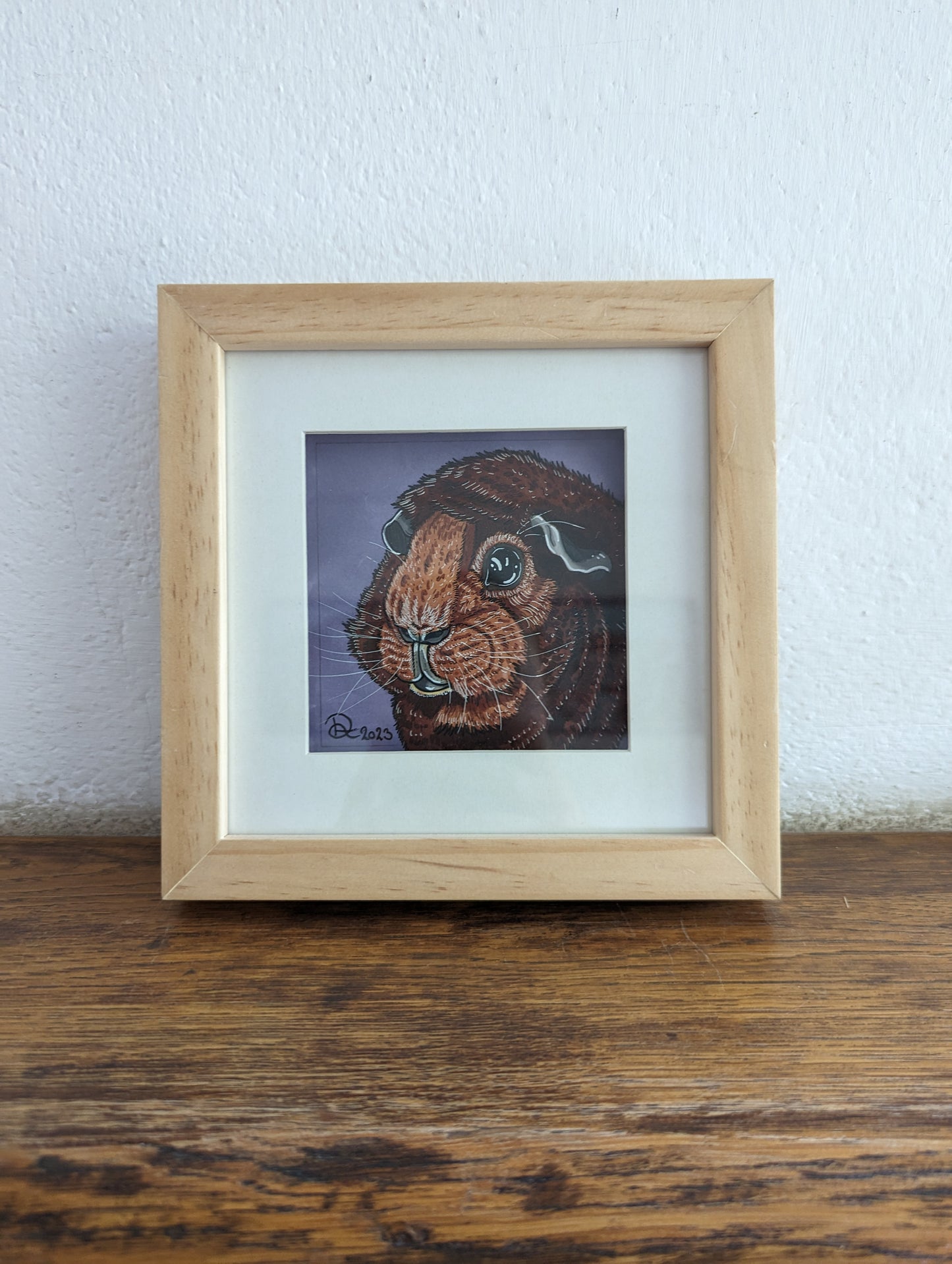 Framed Original Guineapig