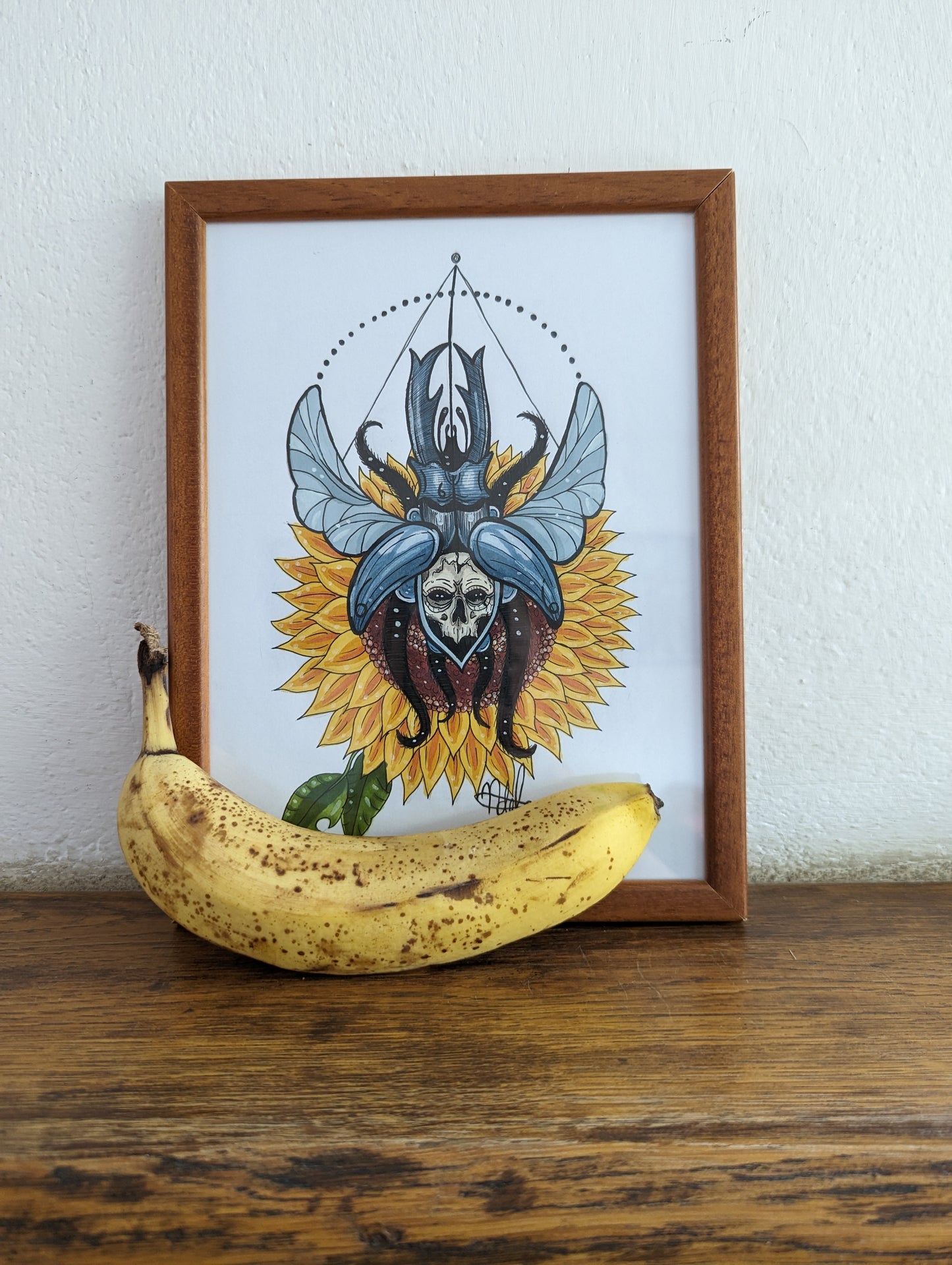 Framed Original Sunflower Beetle