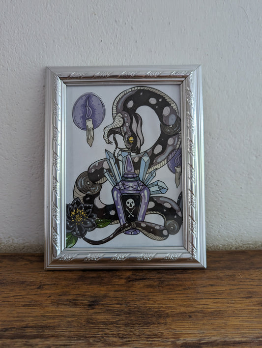 Framed Original Venomous Snake