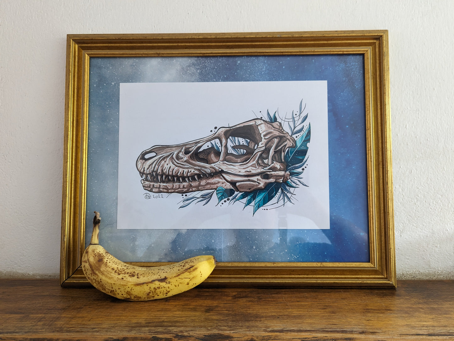 Framed Original Raptor Skull (No Shipping)