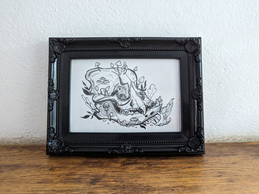 Framed Original Dogskull