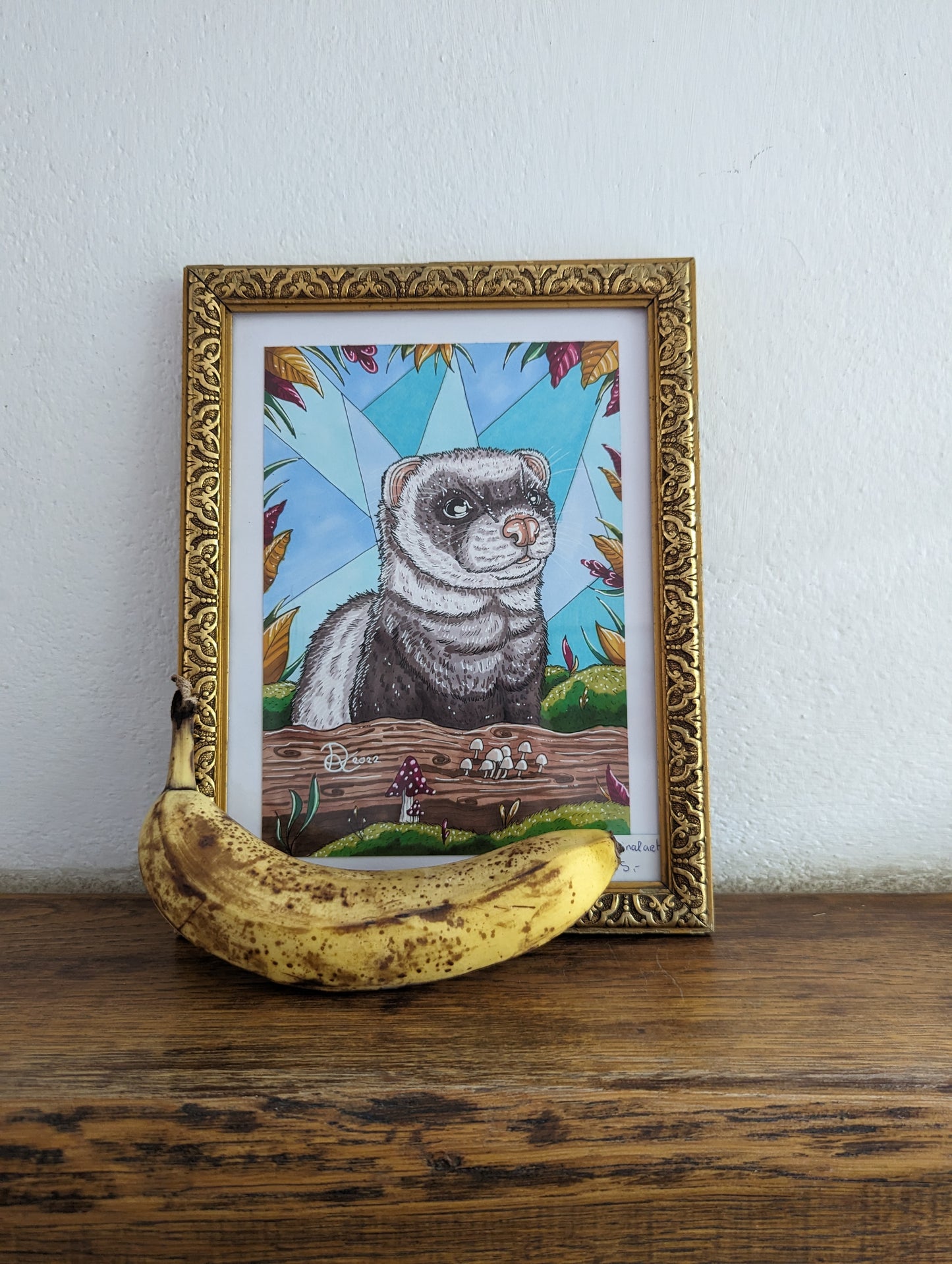 Framed Original Grey Ferret (Pick up preferred)