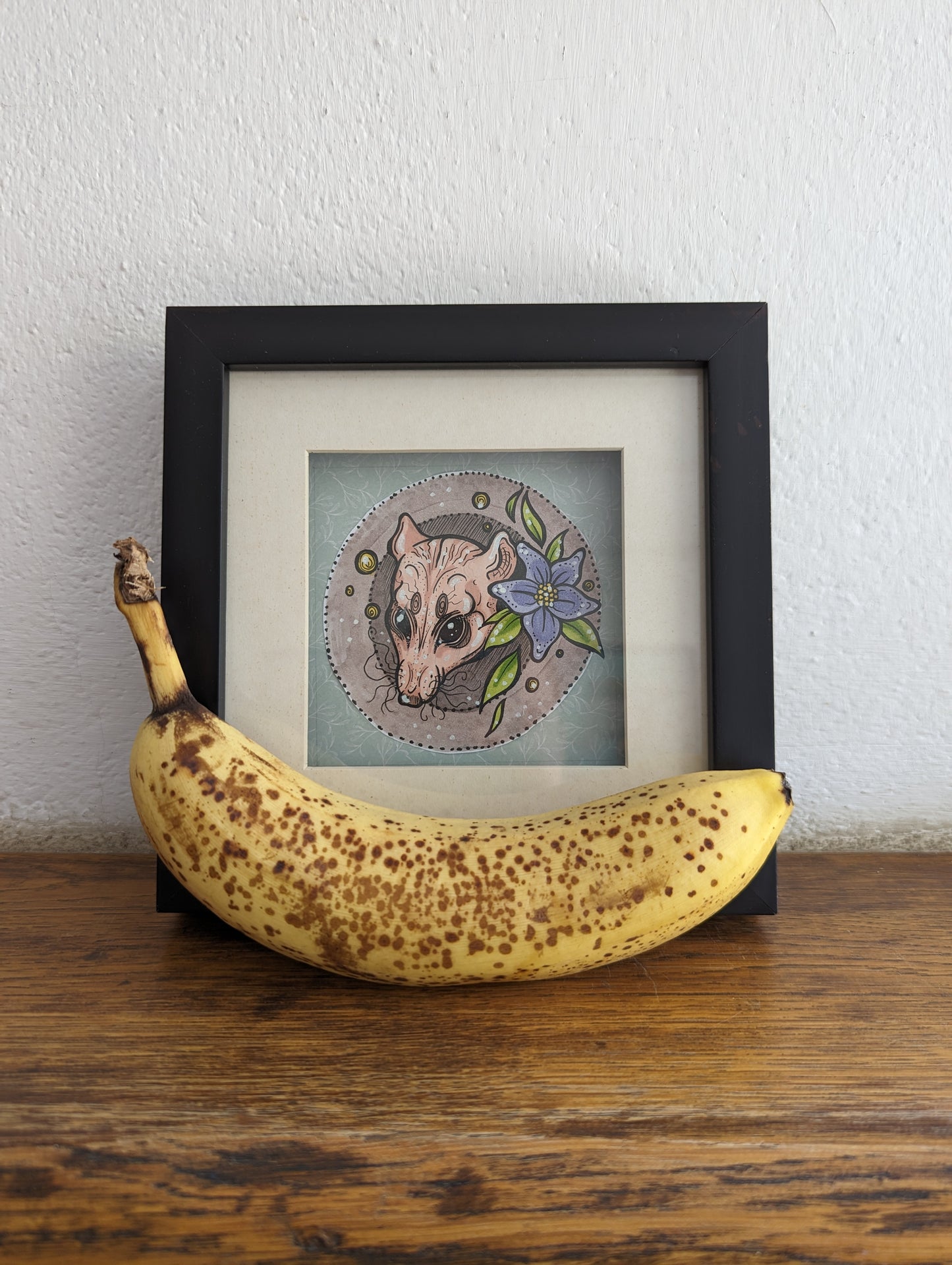 Framed Original Round Rat