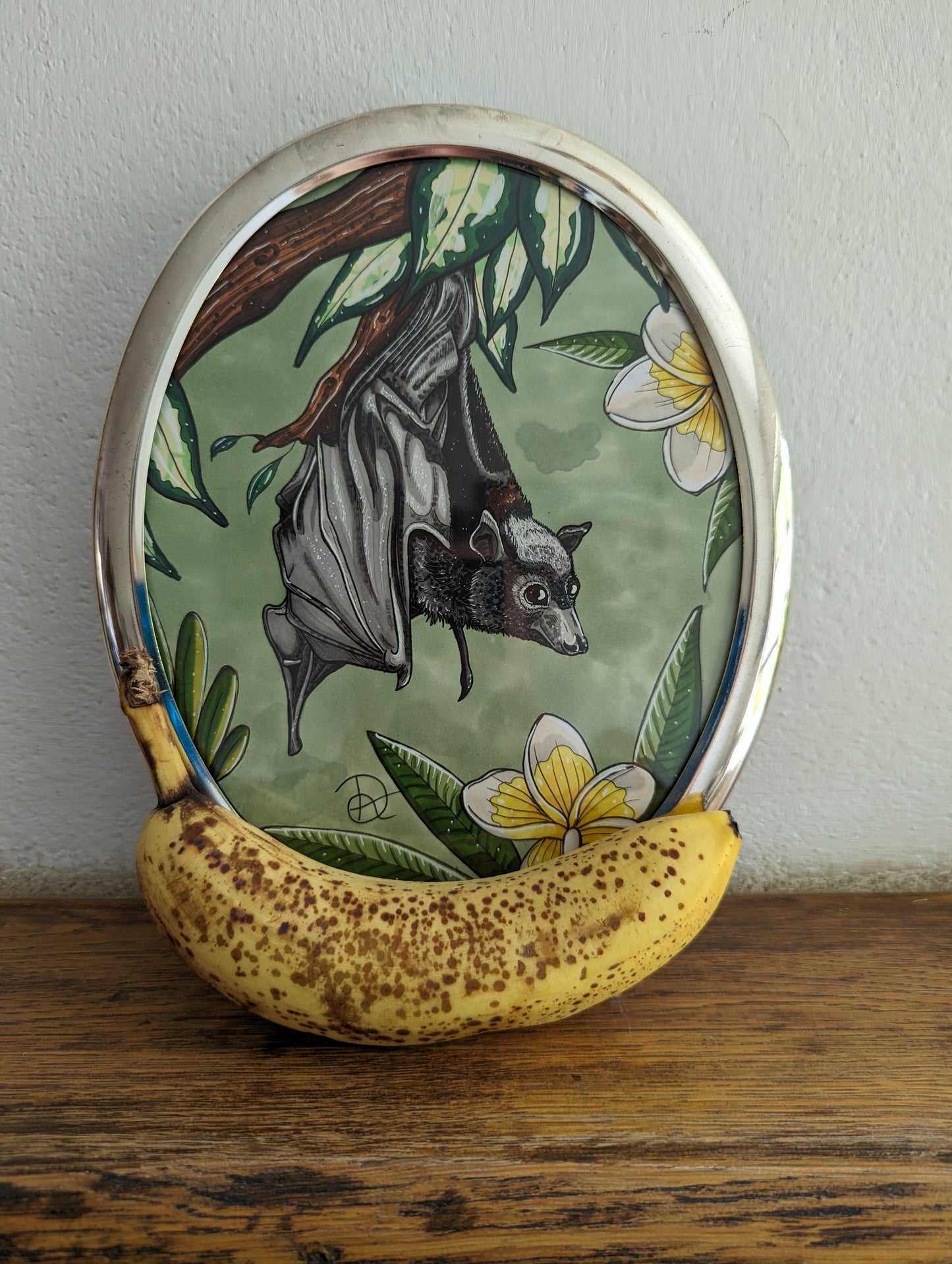 Framed Original Oval Bat