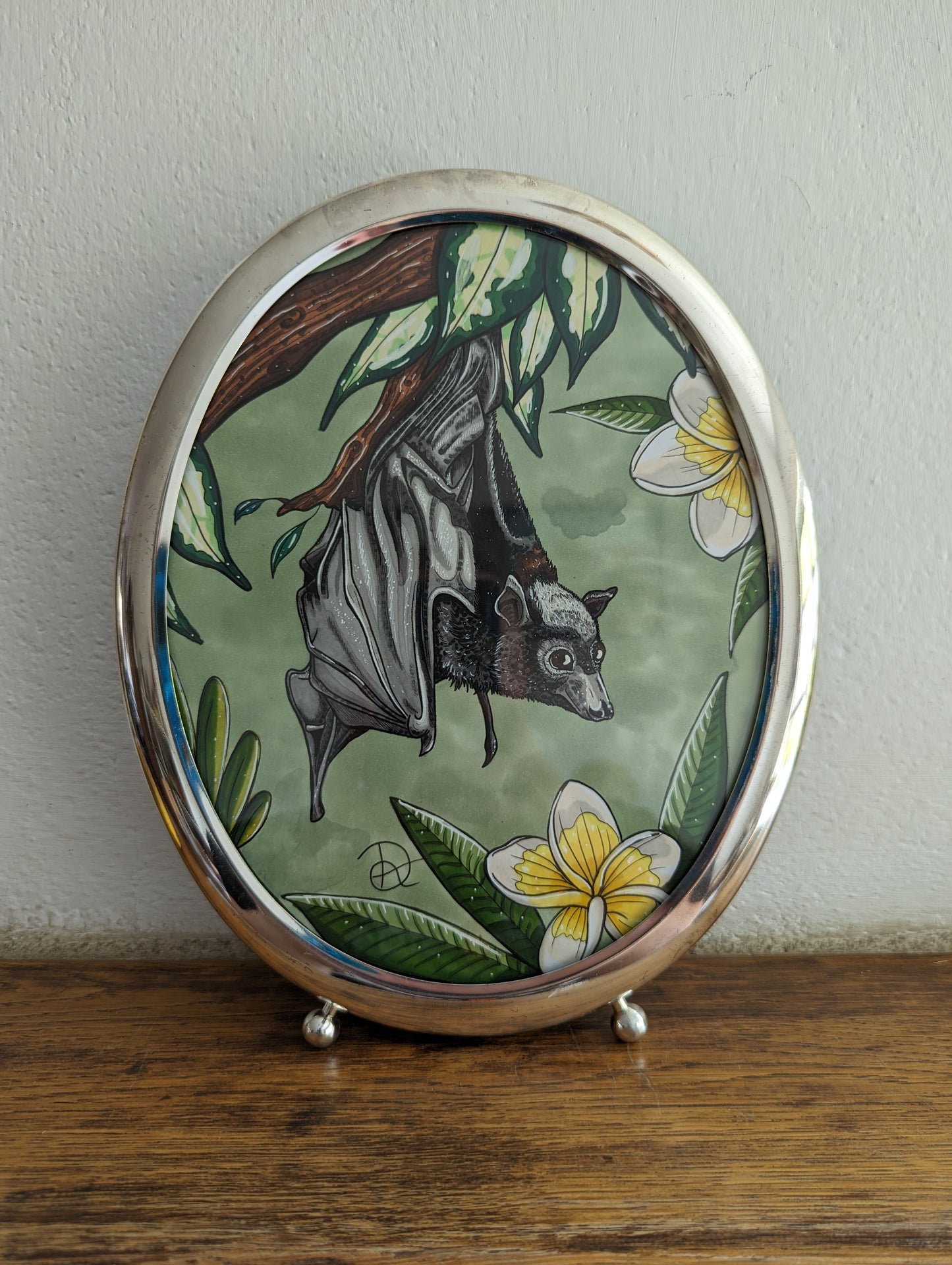 Framed Original Oval Bat