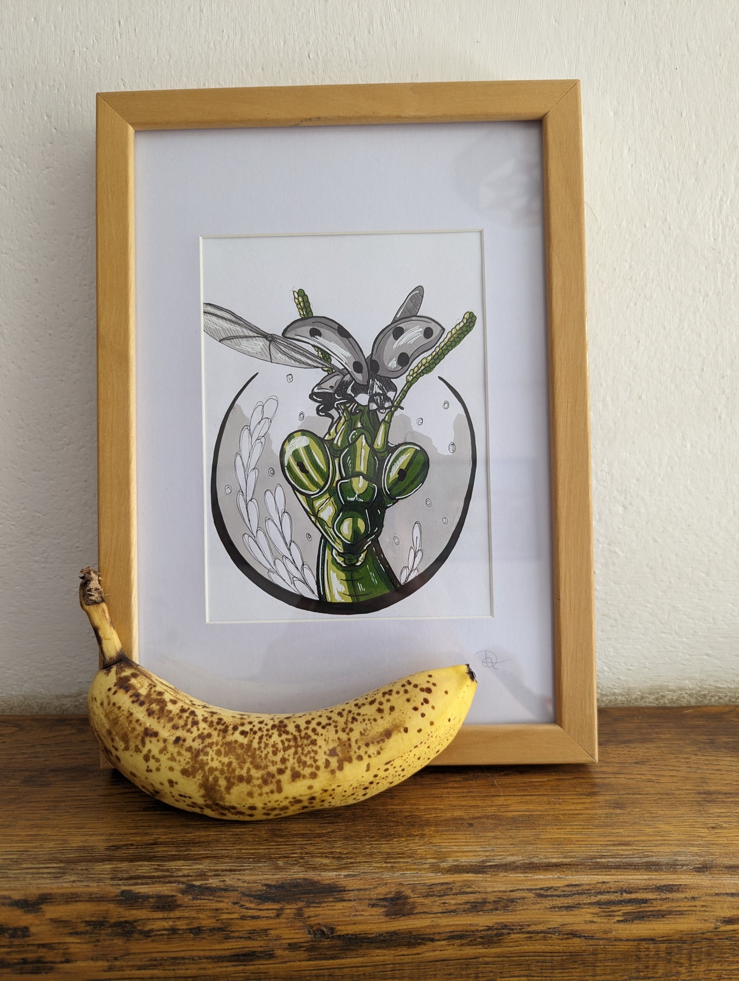 Framed Original Grasshopper