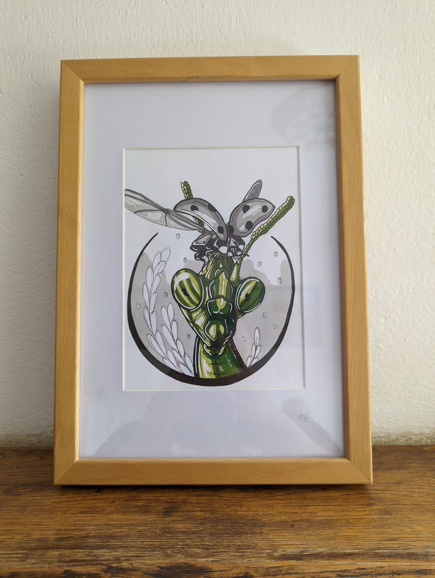 Framed Original Grasshopper