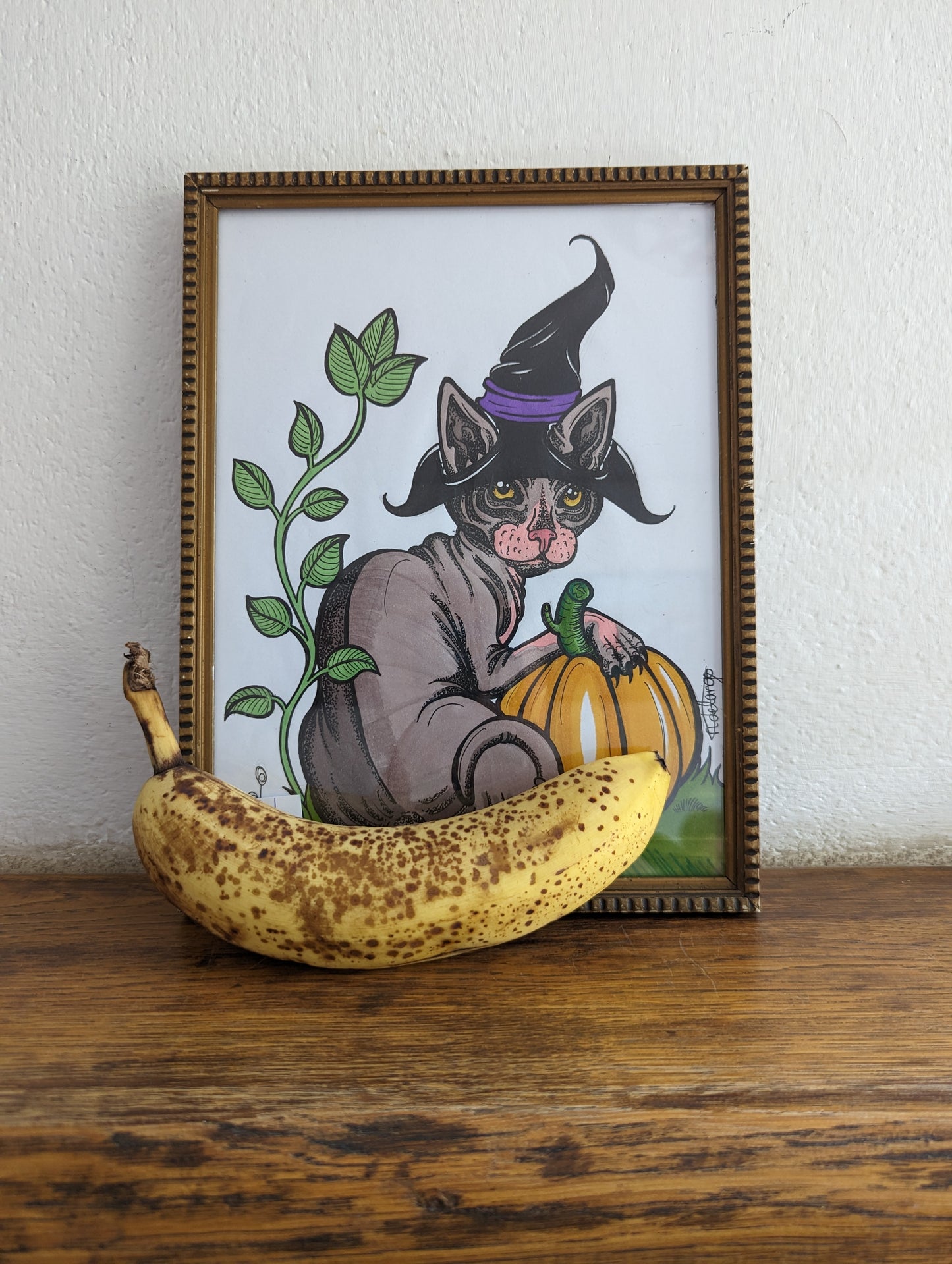 Framed Original Sphynx Witch (Pick up Preferred)