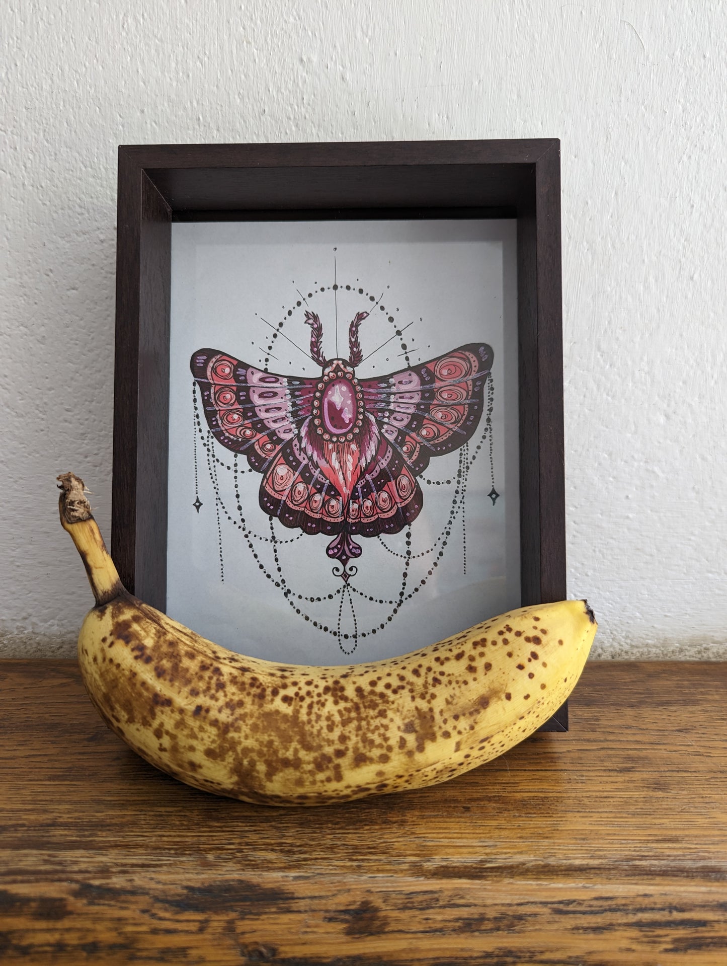 Framed Original Pink Moth