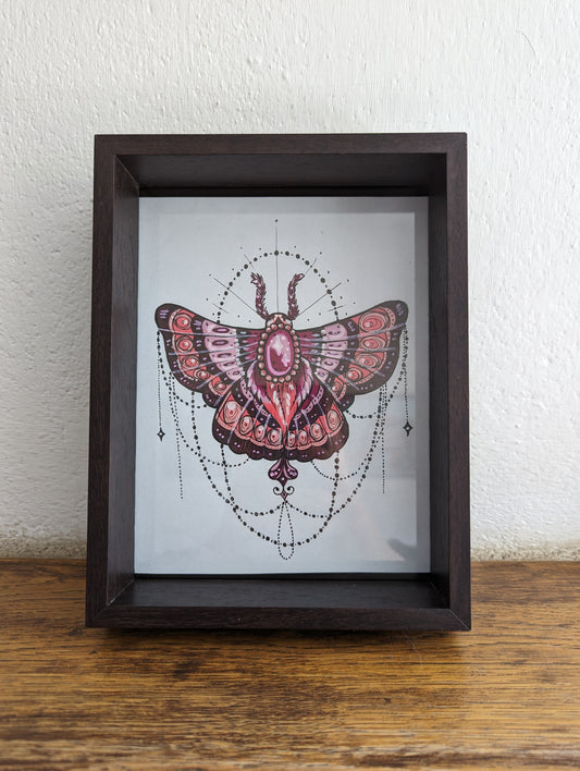 Framed Original Pink Moth