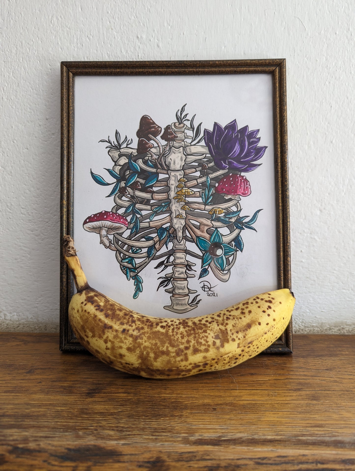 Framed Original Ribcage (Pick up Preferred)