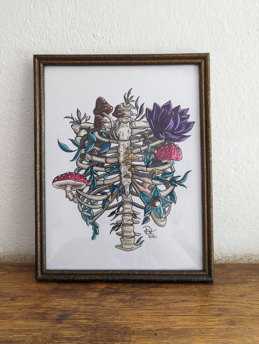 Framed Original Ribcage (Pick up Preferred)