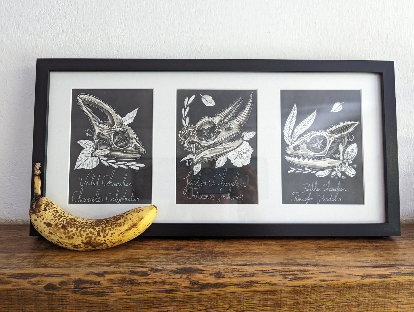 Framed Original Chameleons (No Shipping)