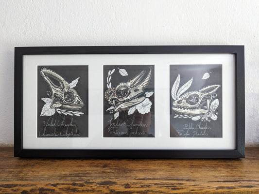 Framed Original Chameleons (No Shipping)