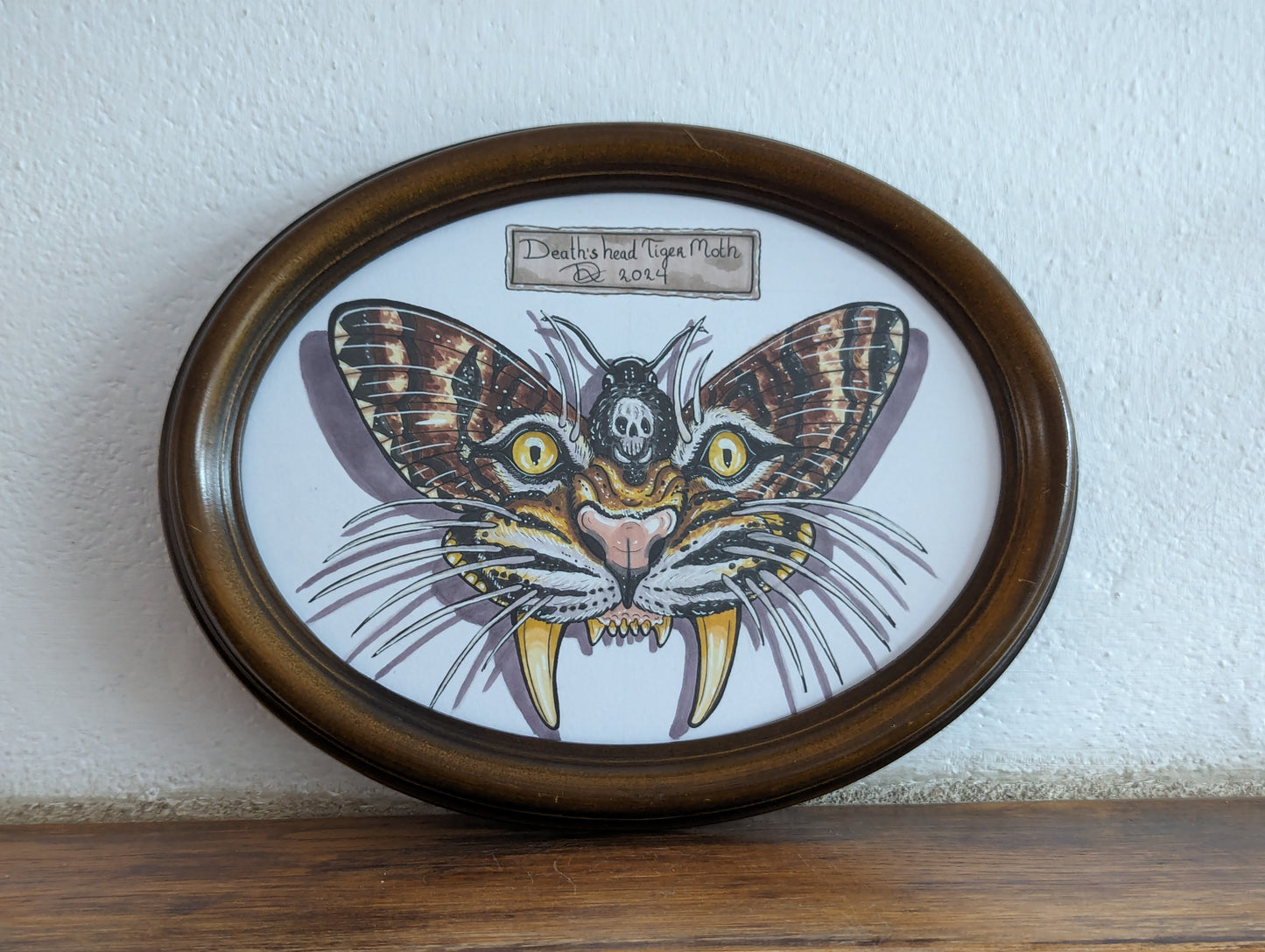 Framed Original Death's Head Tigermoth