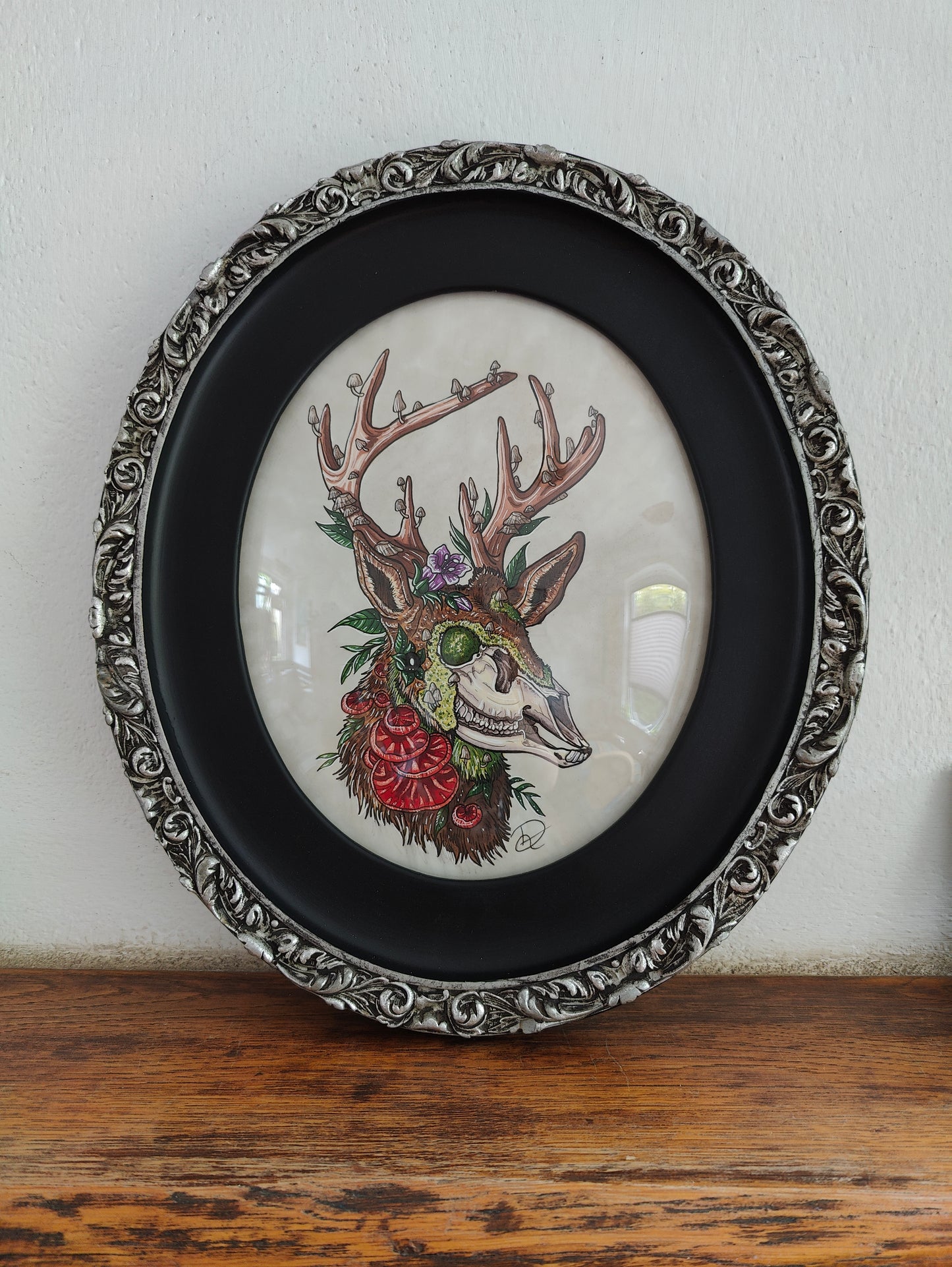 Framed Original Dead Deer (No Shipping)