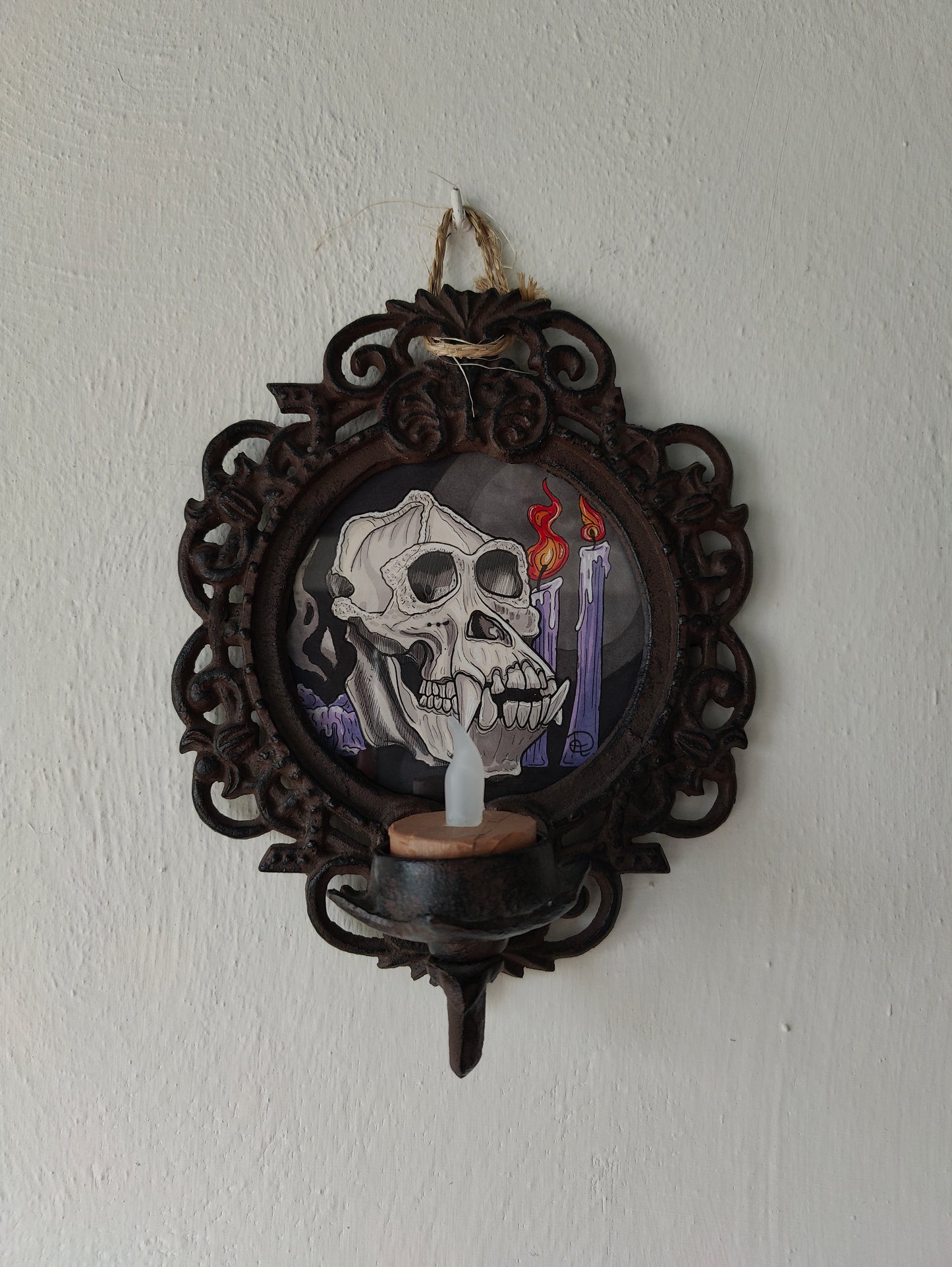 Framed Original Orang Skull (No Shipping)