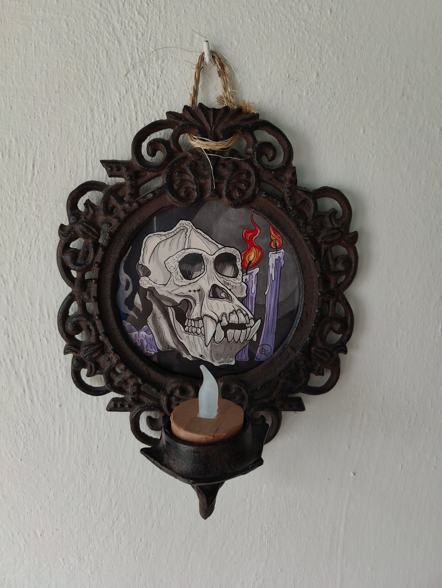 Framed Original Orang Skull (No Shipping)