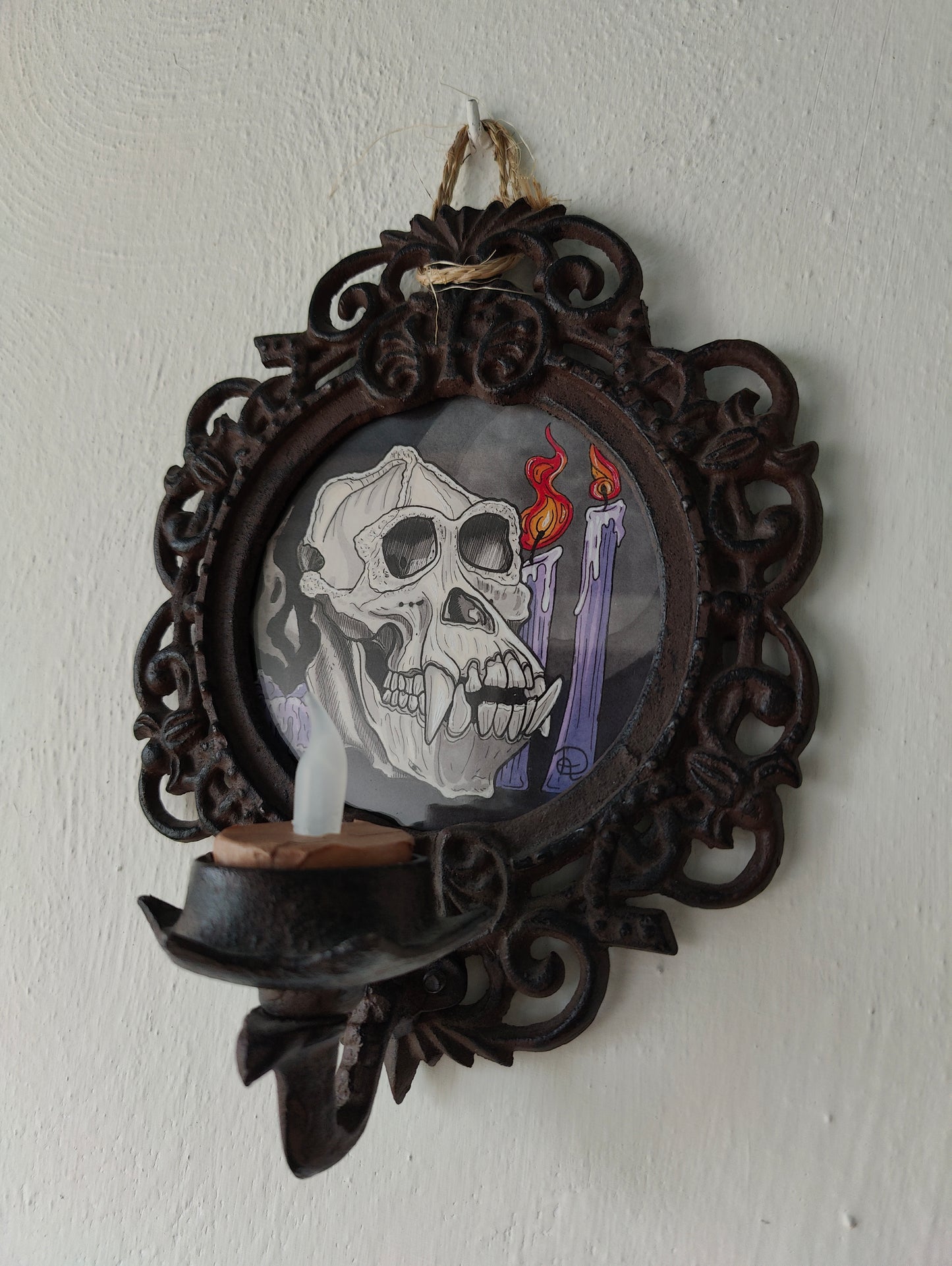 Framed Original Orang Skull (No Shipping)