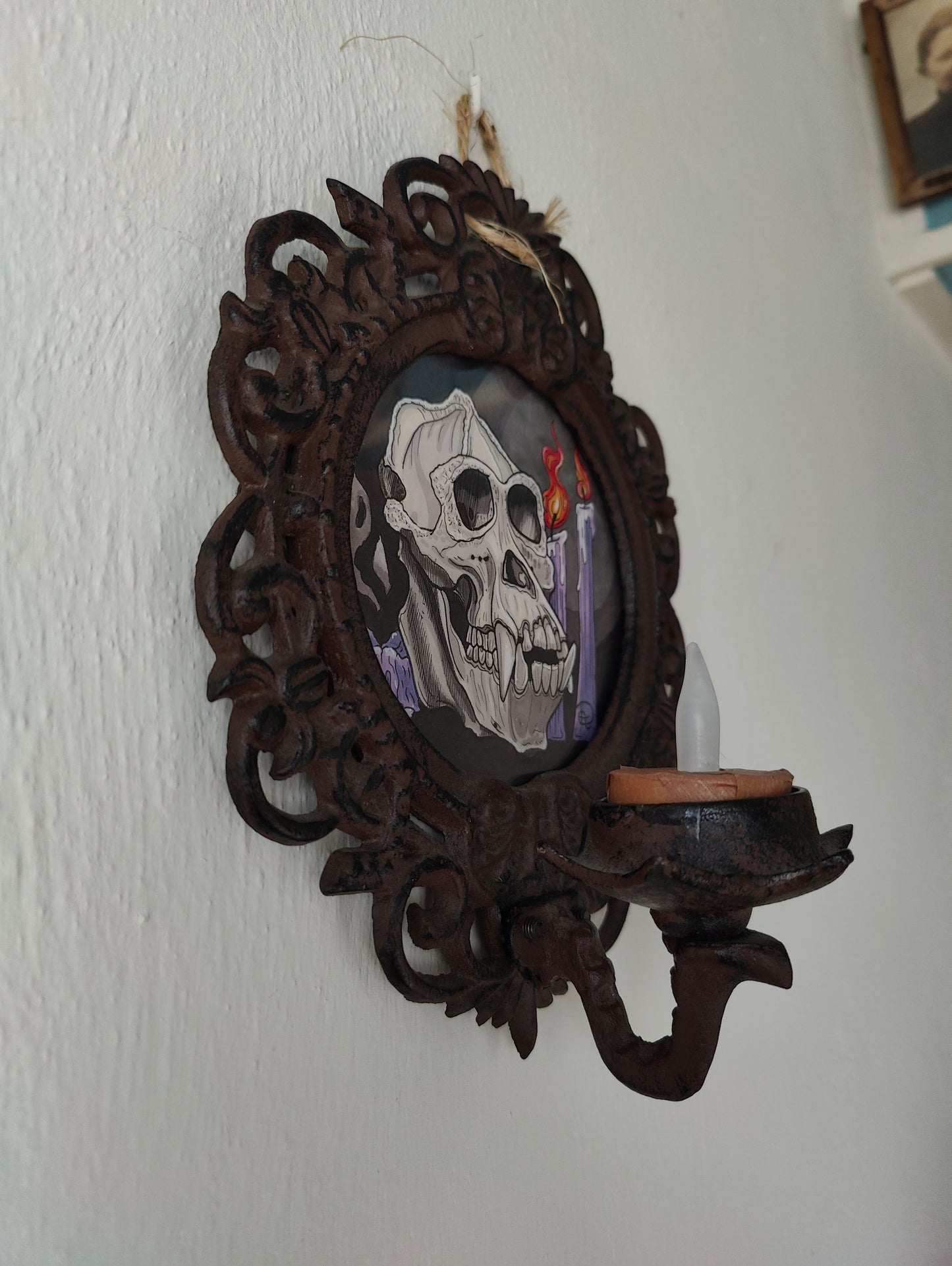 Framed Original Orang Skull (No Shipping)