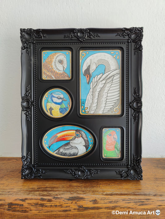 Framed Original: Collection of birds