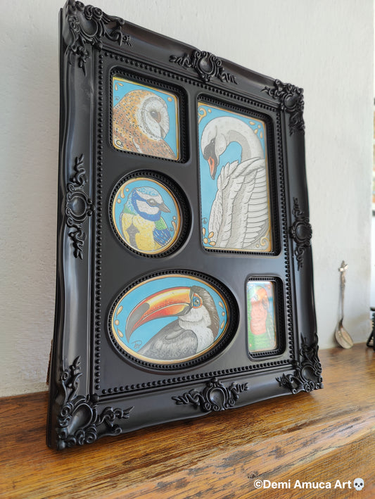 Framed Original: Collection of birds