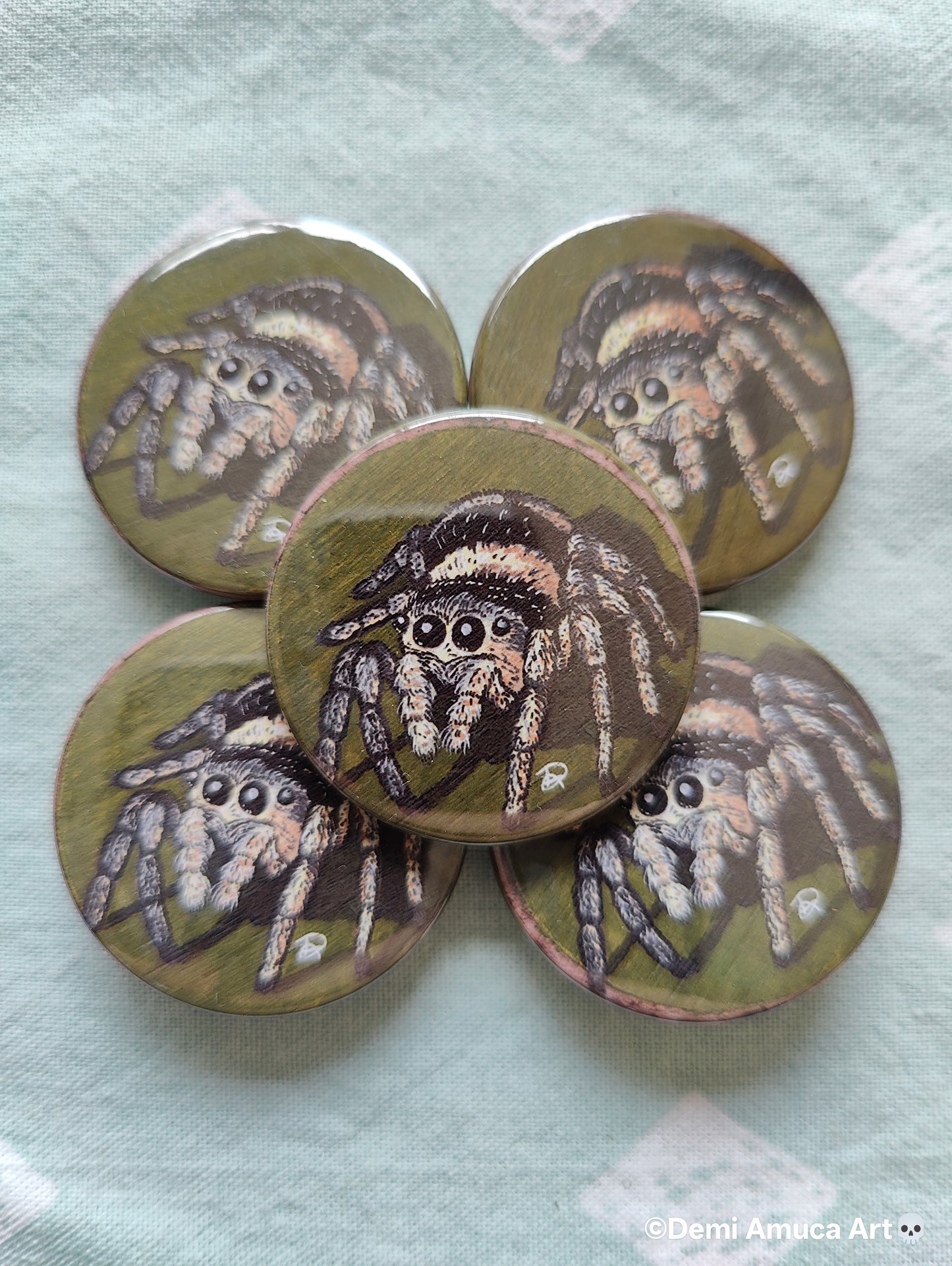 Button pin: Zebra spider